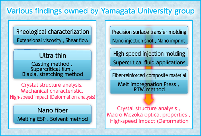 Various findings owned by Yamagata University group