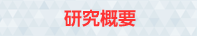 研究概要
